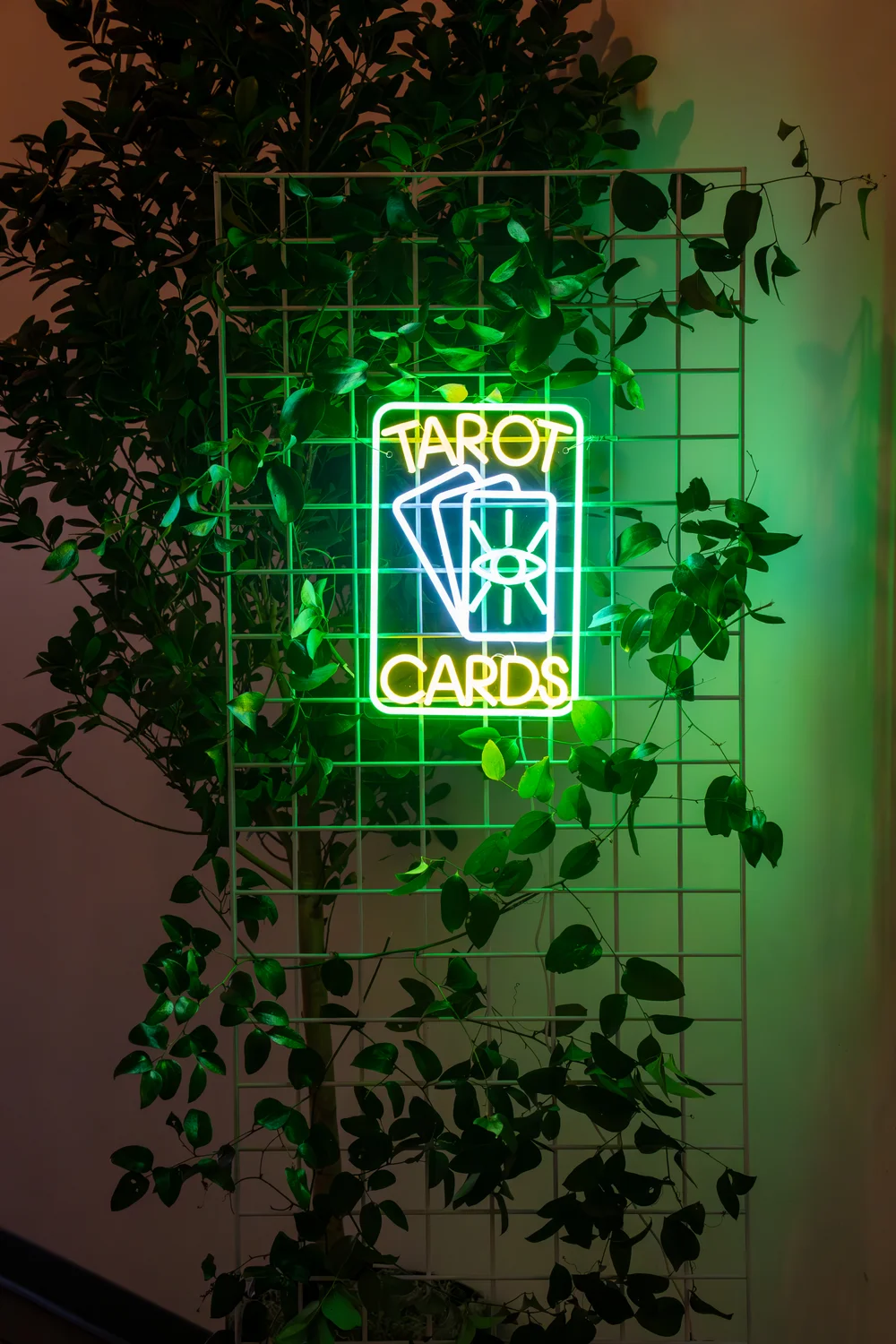 Tarot card sign at SKYLIGHT in Denver, CO