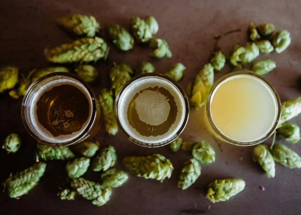 Craft beer flight at Denver office holiday party