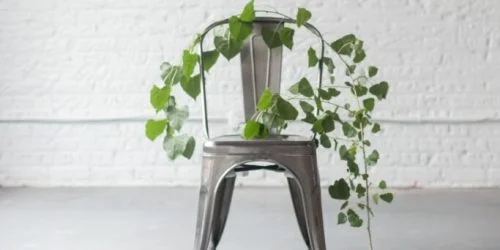 170913-0026-skylight-©LoveProject-3-683x1024-1-e1756077309439-rar1lv0gjle6ygxj5i8g7uyzofqhr1dexra5nspo78